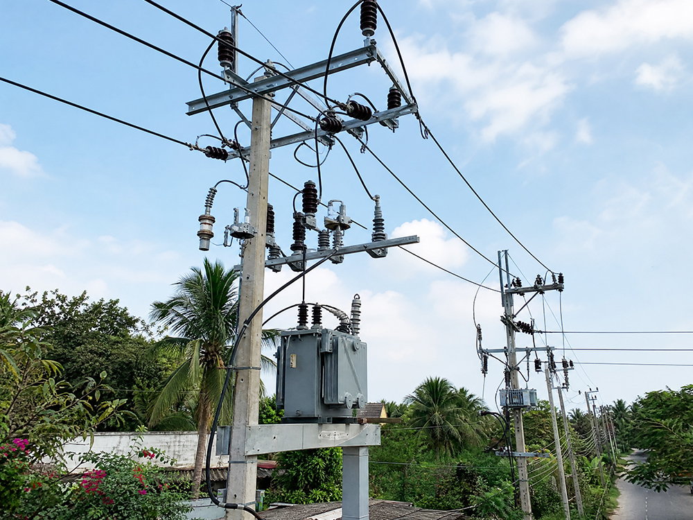 Feeder Protection Project in Southeast Asia